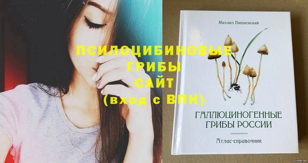 стафф Баксан