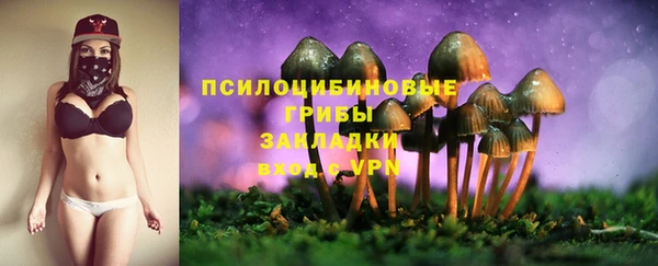 спиды Балахна