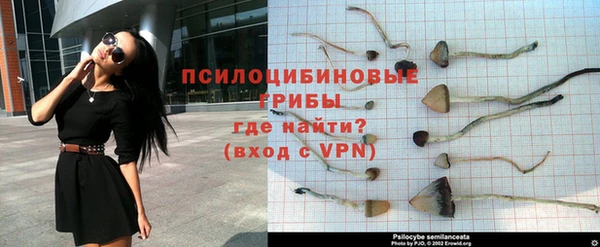 мяу мяу мука Покров