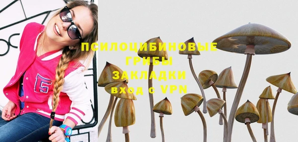 спиды Балахна