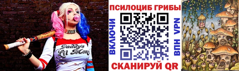 Галлюциногенные грибы ЛСД  закладки  ОМГ ОМГ сайт  Волхов 
