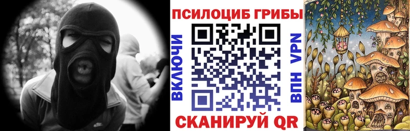 Галлюциногенные грибы MAGIC MUSHROOMS Волхов